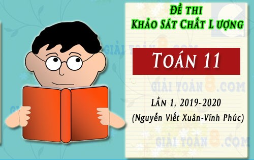de khao sat toan 11 lan 1 truong nguyen viet xuan vinh phuc nam 2019 2020
