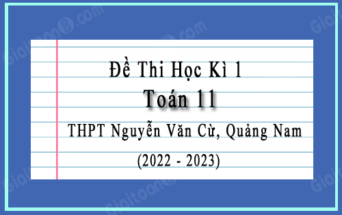 Đề thi học kì 1 Toán 11 năm 2022-2023 trường THPT Nguyễn Văn Cừ, Quảng Nam