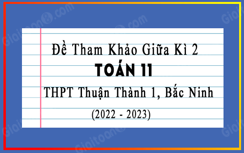 Đề tham khảo giữa kì 2 Toán 11 THPT Thuận Thành 1, Bắc Ninh năm 2022-2023