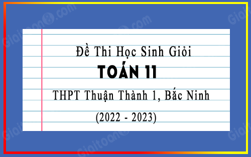 Đề thi học sinh giỏi Toán 11 năm 2022-2023 trường THPT Thuận Thành 1, Bắc Ninh