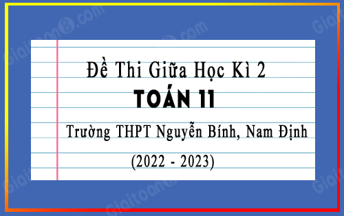 Đề thi giữa học kì 2 Toán 11 trường THPT Nguyễn Bính, Nam Định năm 2022-2023