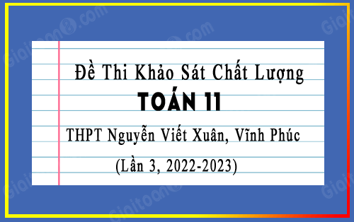 Đề KSCL Toán 11 trường THPT Nguyễn Viết Xuân, Vĩnh Phúc năm 2022-2023 lần 3