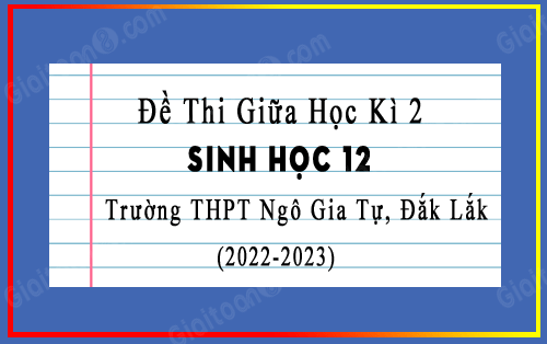 Đề thi giữa kì 2 Sinh học 12 năm 2022-2023 trường THPT Ngô Gia Tự, Đắk Lắk