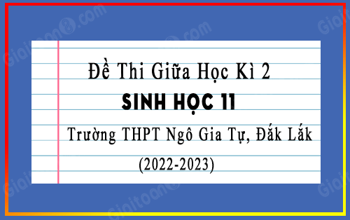 Đề thi giữa kì 2 Sinh học 11 năm 2022-2023 trường THPT Ngô Gia Tự, Đắk Lắk