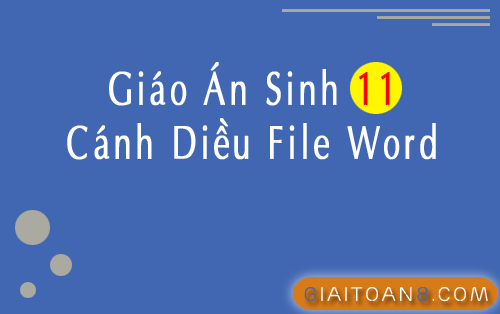Giáo án Sinh 11 Cánh Diều file word