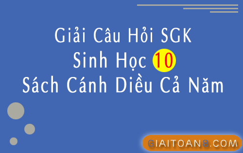 Giải câu hỏi sgk Sinh Học 10 Cánh diều file Word