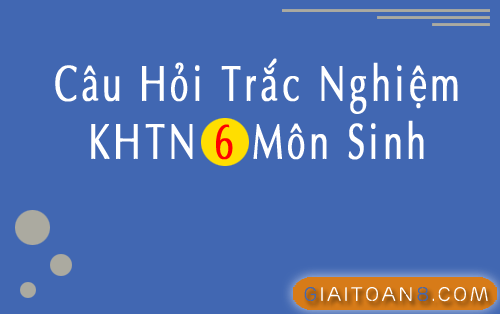 File word câu hỏi trắc nghiệm KHTN 6 môn Sinh học