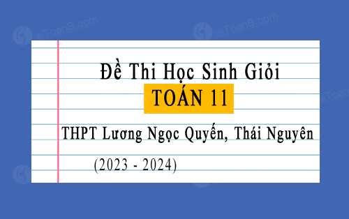 Đề thi HSG Toán 11 năm 2023-2024 trường THPT Lương Ngọc Quyến, Thái Nguyên