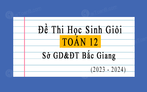 Đề thi học sinh giỏi cấp tỉnh Toán 12 sở GD&ĐT Bắc Giang năm 2023-2024