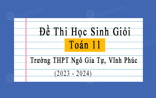Đề thi HSG Toán 11 trường THPT Ngô Gia Tự, Vĩnh Phúc năm 2023-2024